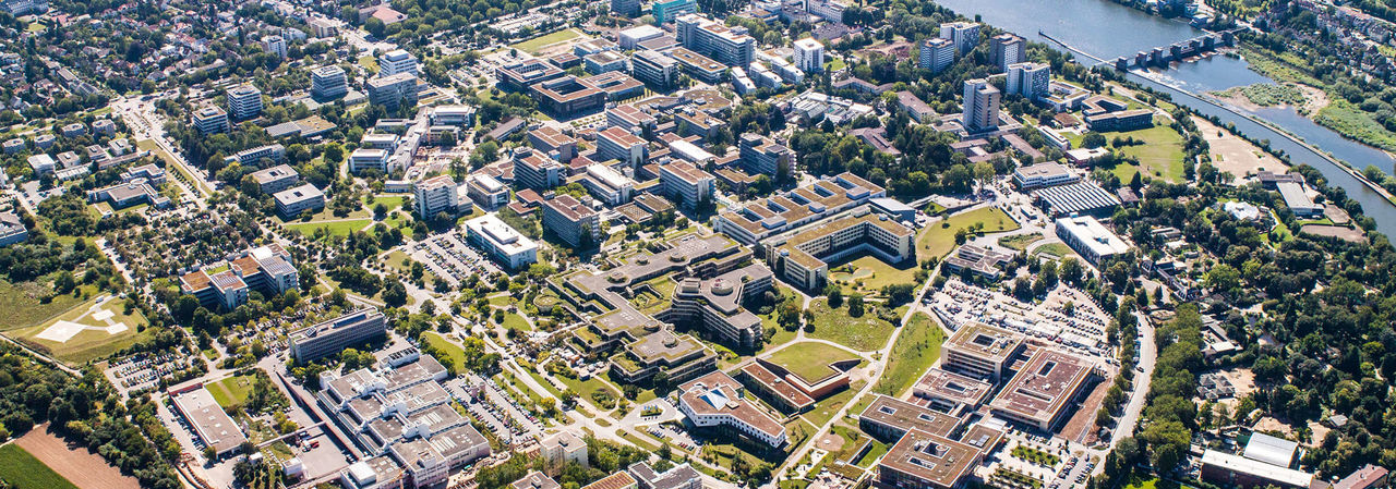 University Academy