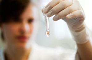 Research_at_the_MH